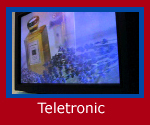 click here for teletronic case studies